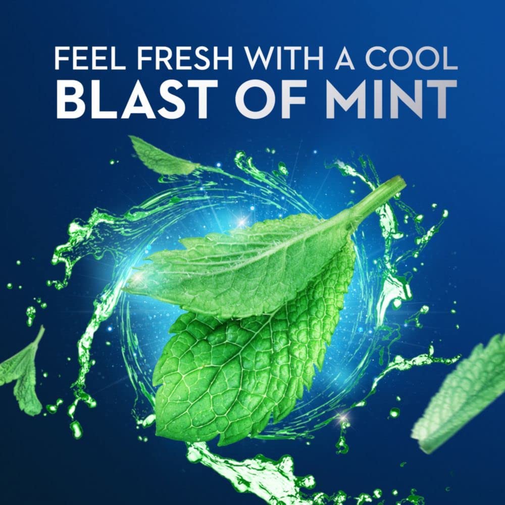 Fresh Mint Floss Picks (Pack of 100)